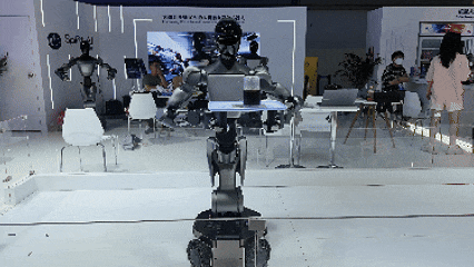 1753841335629383.gif